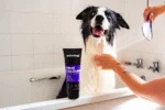 Shampoo ravvivante del colore per cani, 250 ml – Animology True Colours - immagine 5