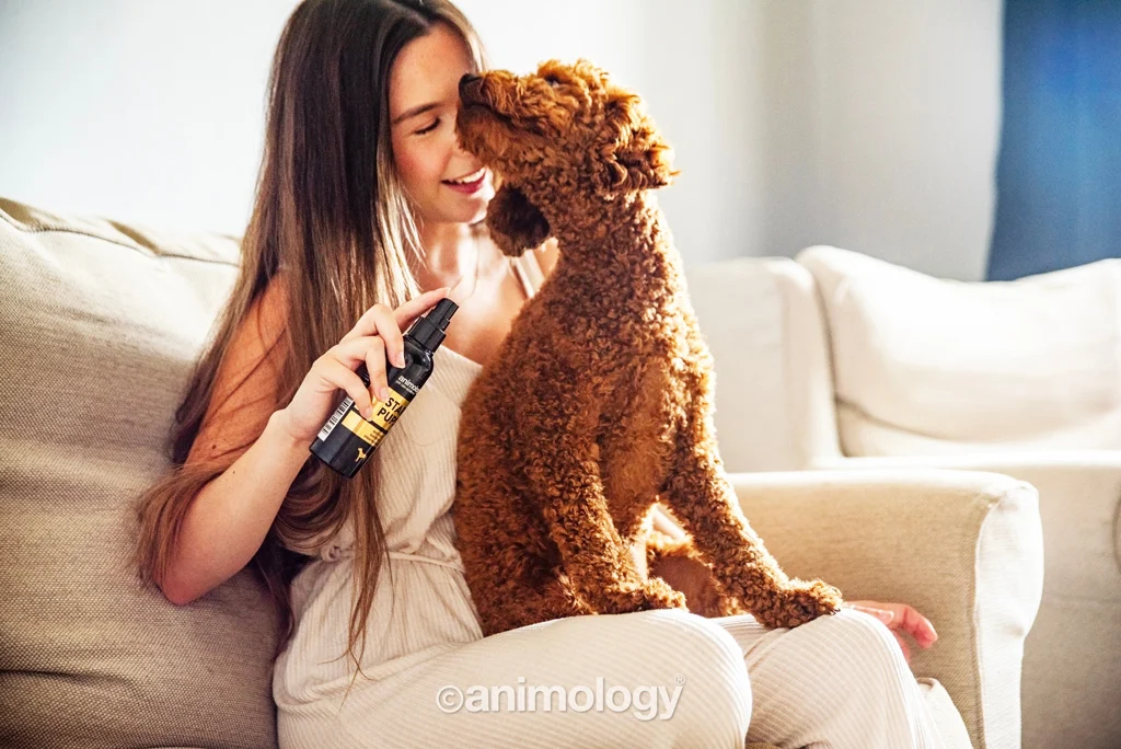 Profumo per cani con burro di karité e vaniglia, 150 ml – Animology Star Pups Body Mist - immagine 2