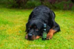 Profumo per cani con bergamotto e muschio di quercia, 150 ml – Animology Cloud K9 Body Mist - immagine 2