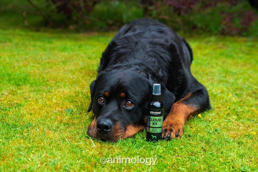 Profumo per cani con bergamotto e muschio di quercia, 150 ml – Animology Cloud K9 Body Mist - immagine 2