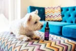Profumo per cani con neroli e peonia, 150 ml – Animology Heaven Scent Body Mist - immagine 2