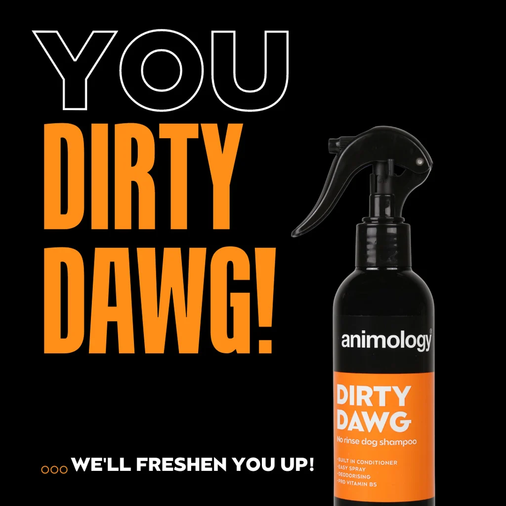 Shampoo spray per cani senza risciacquo, 250 ml – Animology Dirty Dawg - immagine 2