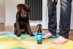 Shampoo spray per cuccioli senza risciacquo, 250 ml – Animology Mucky Pup - immagine 2