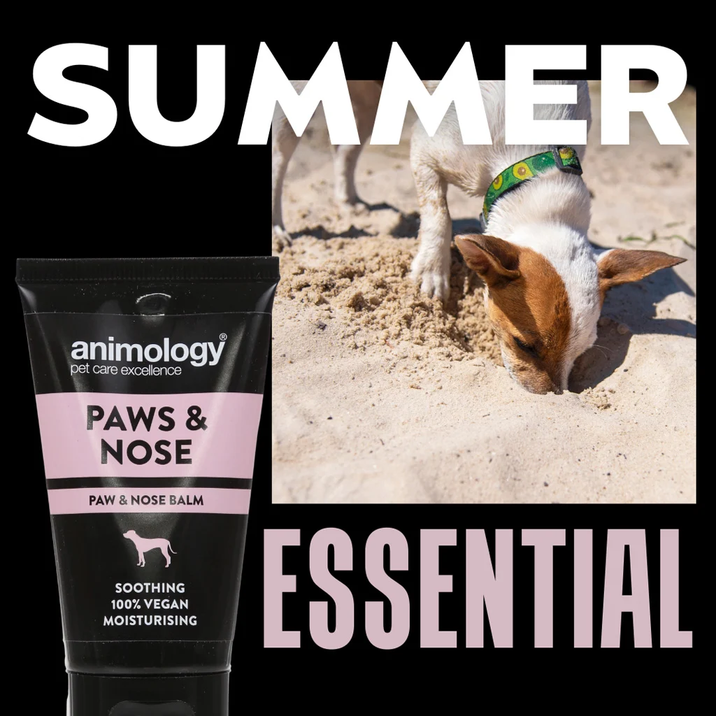 Balsamo per le zampe dei cani, adatto anche al naso, 50 ml – Animology Paws & Nose Balm - immagine 2