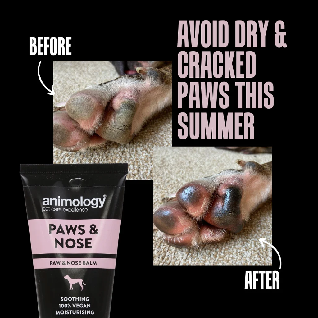 Balsamo per le zampe dei cani, adatto anche al naso, 50 ml – Animology Paws & Nose Balm - immagine 3