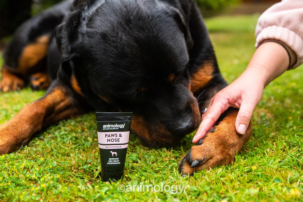 Balsamo per le zampe dei cani, adatto anche al naso, 50 ml – Animology Paws & Nose Balm - immagine 5