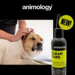 Detergente auricolare per cani con beccuccio, 100 ml – Animology Clean Ears - immagine 2
