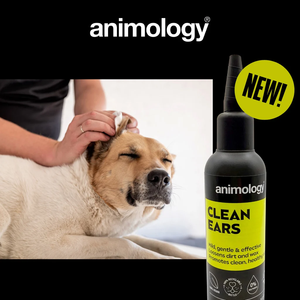 Detergente auricolare per cani con beccuccio, 100 ml – Animology Clean Ears - immagine 2