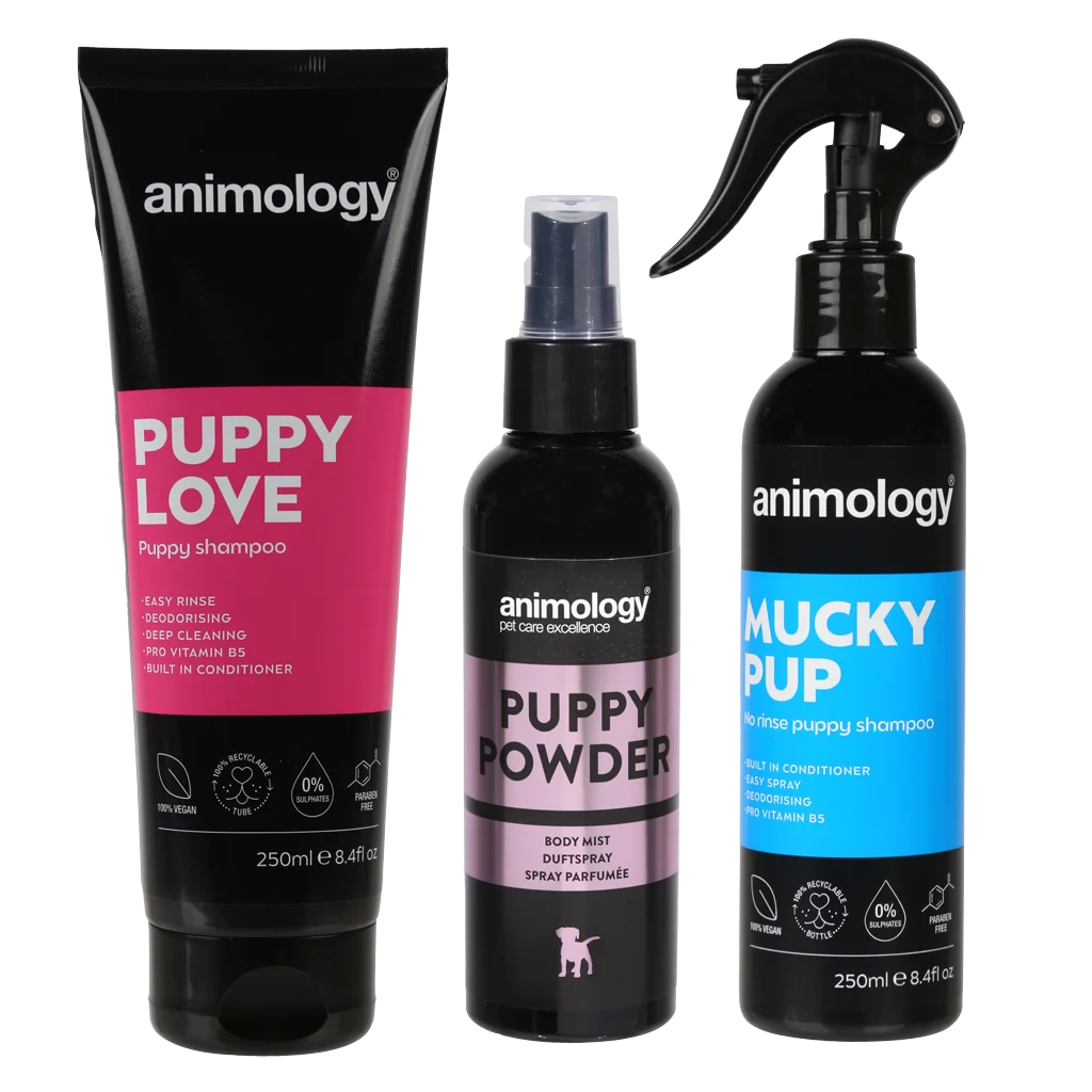 Set per la cura dei cuccioli con shampoo, body mist e spray detergente, 3 prodotti – Animology My First Puppy Pack - immagine 3