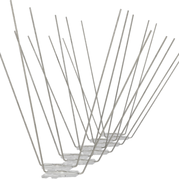 Dissuasori per gabbiani con punte in acciaio inox, 5 m – Avipoint G20