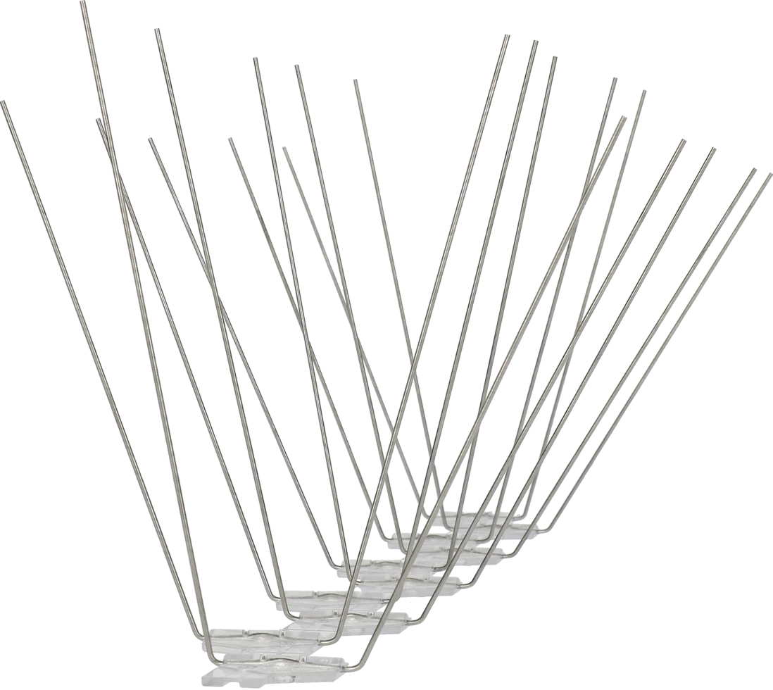 Dissuasori per gabbiani con punte in acciaio inox, 5 m – Avipoint G20 - immagine 1