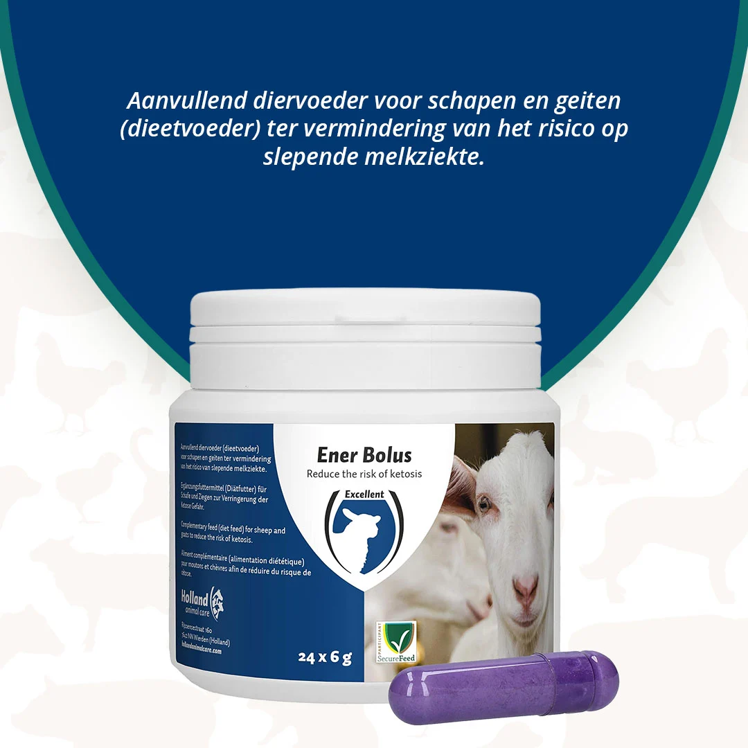 Bolo energetico per pecore e capre, 24 pezzi – Excellent Ener Bolus Pecore e Capre - immagine 3