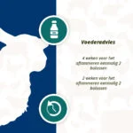 Bolo energetico per pecore e capre, 24 pezzi – Excellent Ener Bolus Pecore e Capre - immagine 5