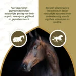 Aceto di mele per cavalli, 1 l – Excellent Horse Apple Vinegar - immagine 3