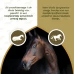 Snack per cavalli all’aglio, a basso contenuto di zuccheri, 1,2 kg – Excellent Horse Sweet Blocks - immagine 4