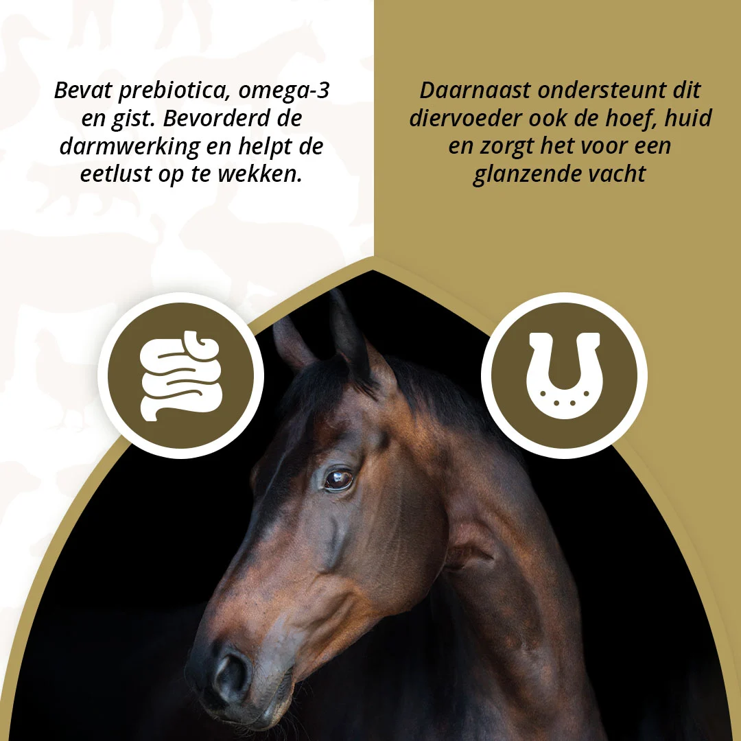 Prebiotici per cavalli con Omega 3 e lievito, 2,5 kg – Excellent Horse Prebiotics - immagine 3
