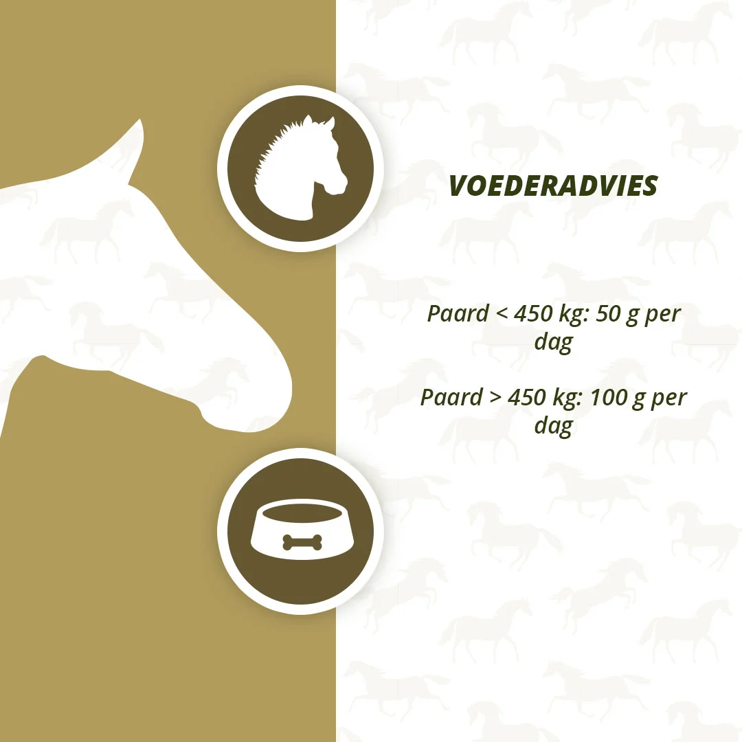 Prebiotici per cavalli con Omega 3 e lievito, 2,5 kg – Excellent Horse Prebiotics - immagine 4
