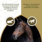 Integratore articolare per cavalli con MSM e glucosamina, 2 kg – Excellent Horse Mobility Plus - immagine 4