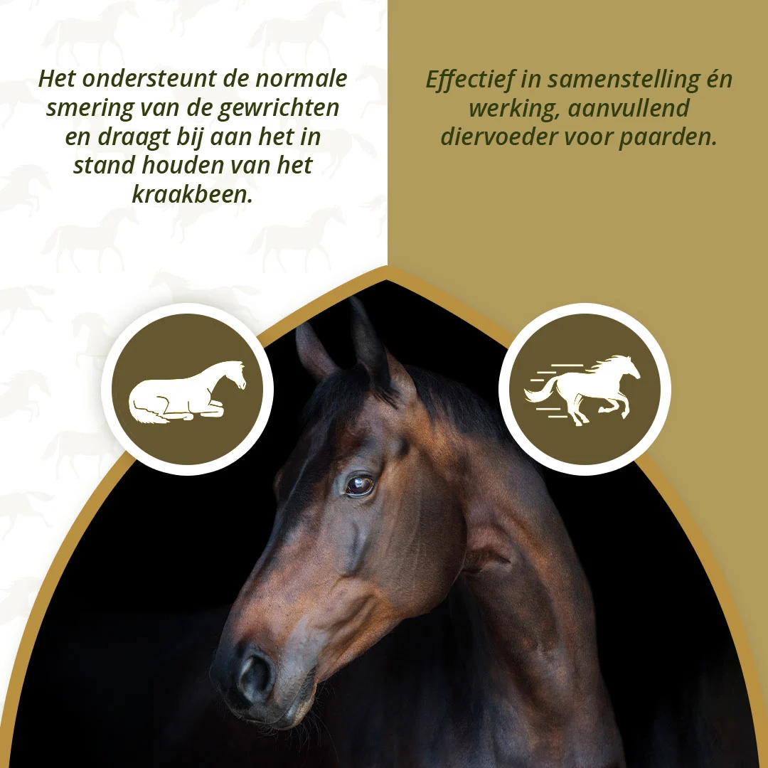 Integratore articolare per cavalli con MSM e glucosamina, 2 kg – Excellent Horse Mobility Plus - immagine 4