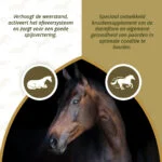 Integratore a base di erbe per cavalli con aglio e menta, 1,5 kg – Excellent Horse Parex - immagine 3