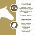 Integratore a base di erbe per cavalli con aglio e menta, 1,5 kg – Excellent Horse Parex - immagine 4
