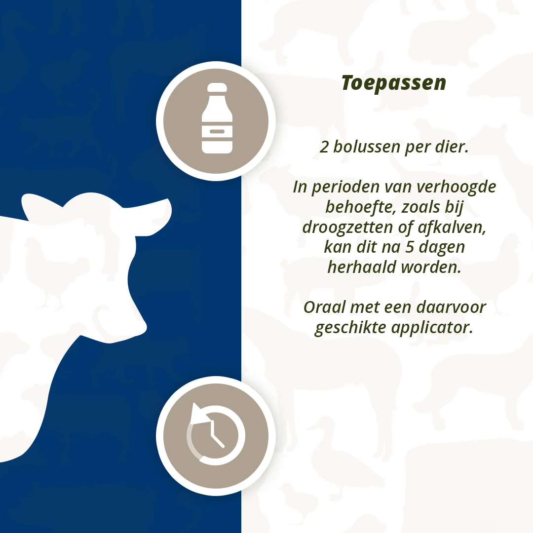 Bolo per vacche da latte con aglio nero, 4 x 60 g – Direct Bolus Udder Support - immagine 5