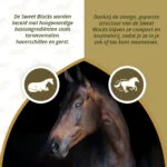 Premi per cavalli all’eucalipto, a basso contenuto di zuccheri, 1 kg – Excellent Horse Sweet Blocks - immagine 3