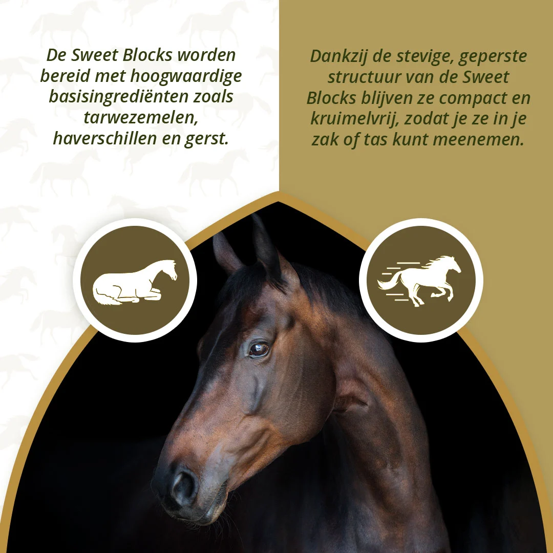 Premi per cavalli all’eucalipto, a basso contenuto di zuccheri, 1 kg – Excellent Horse Sweet Blocks - immagine 3
