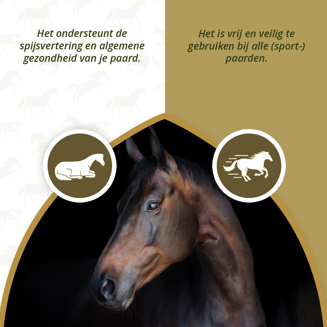 Integratore articolare per cavalli con MSM e curcuma, 1 kg – Excellent Horse PureFree - immagine 3