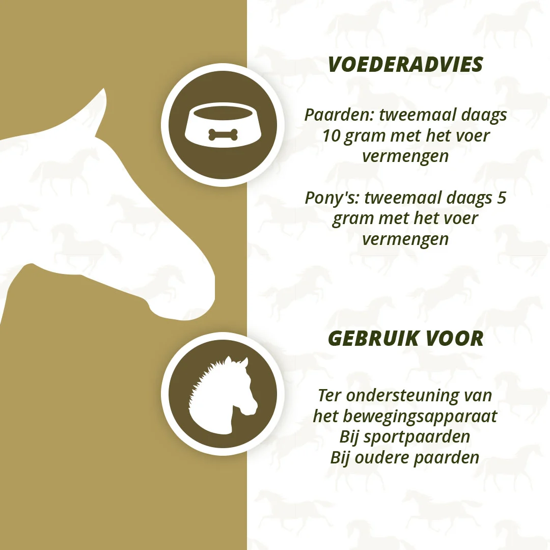 Integratore articolare per cavalli con MSM e curcuma, 1 kg – Excellent Horse PureFree - immagine 4