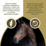 Integratore muscolare per cavalli con alghe, 1 kg – Excellent Horse Turbo - immagine 3