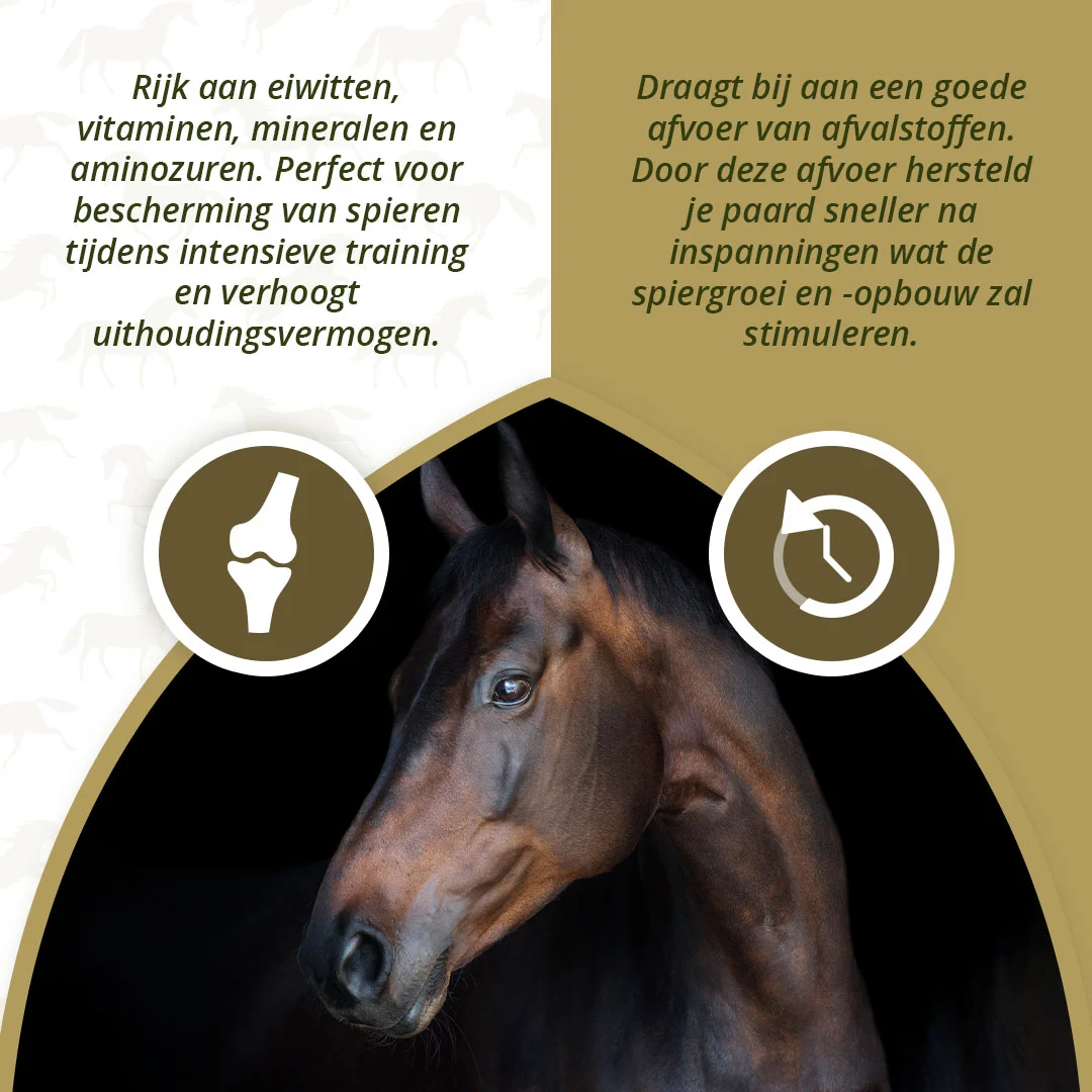 Integratore muscolare per cavalli con alghe, 1 kg – Excellent Horse Turbo - immagine 3