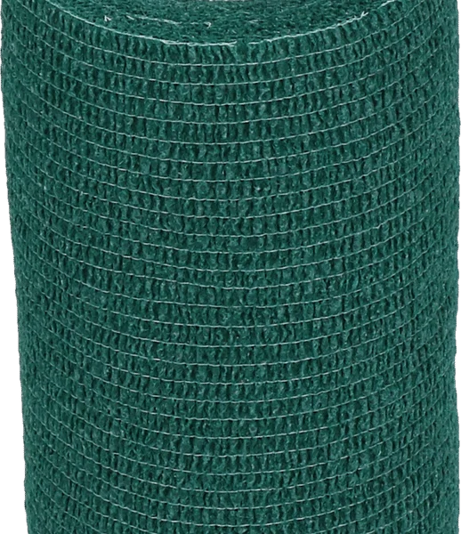 Benda autoadesiva per zampe e zoccoli, 10 cm, verde – Excellent Bandage Animal Profi