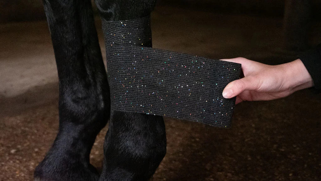 Benda autoadesiva glitterata, 10 cm, nera – Excellent Animal Glitter Bandage Profi - immagine 3