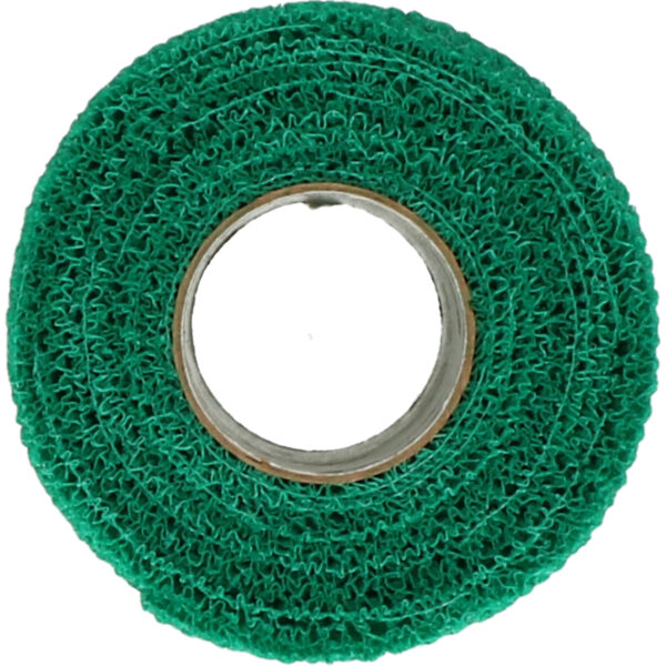 Benda per cavalli, verde, larga 10 cm e lunga 4,5 m – Andover Healthcare PowerFlex