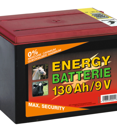 Batteria per recinzione elettrica 9 V, 130 Ah, 16 x 19 x 13 cm – ZoneGuard EG super