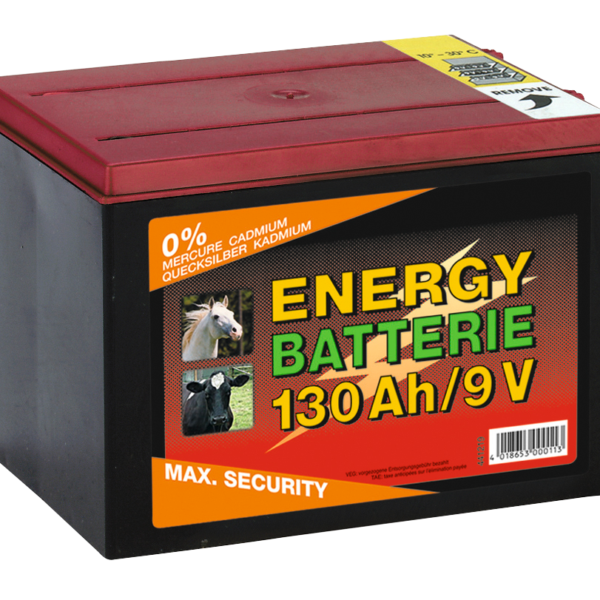 Batteria per recinzione elettrica 9 V, 130 Ah, 16 x 19 x 13 cm – ZoneGuard EG super
