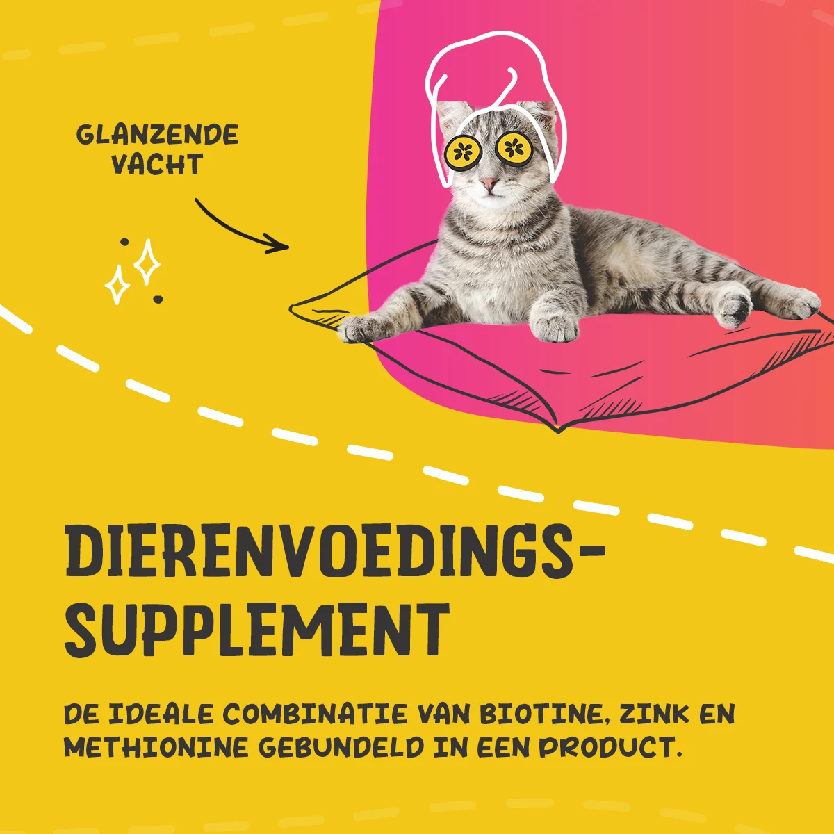 Integratore per il pelo di cani e gatti con biotina, 250 g – Excellent Pets Biozin - immagine 3