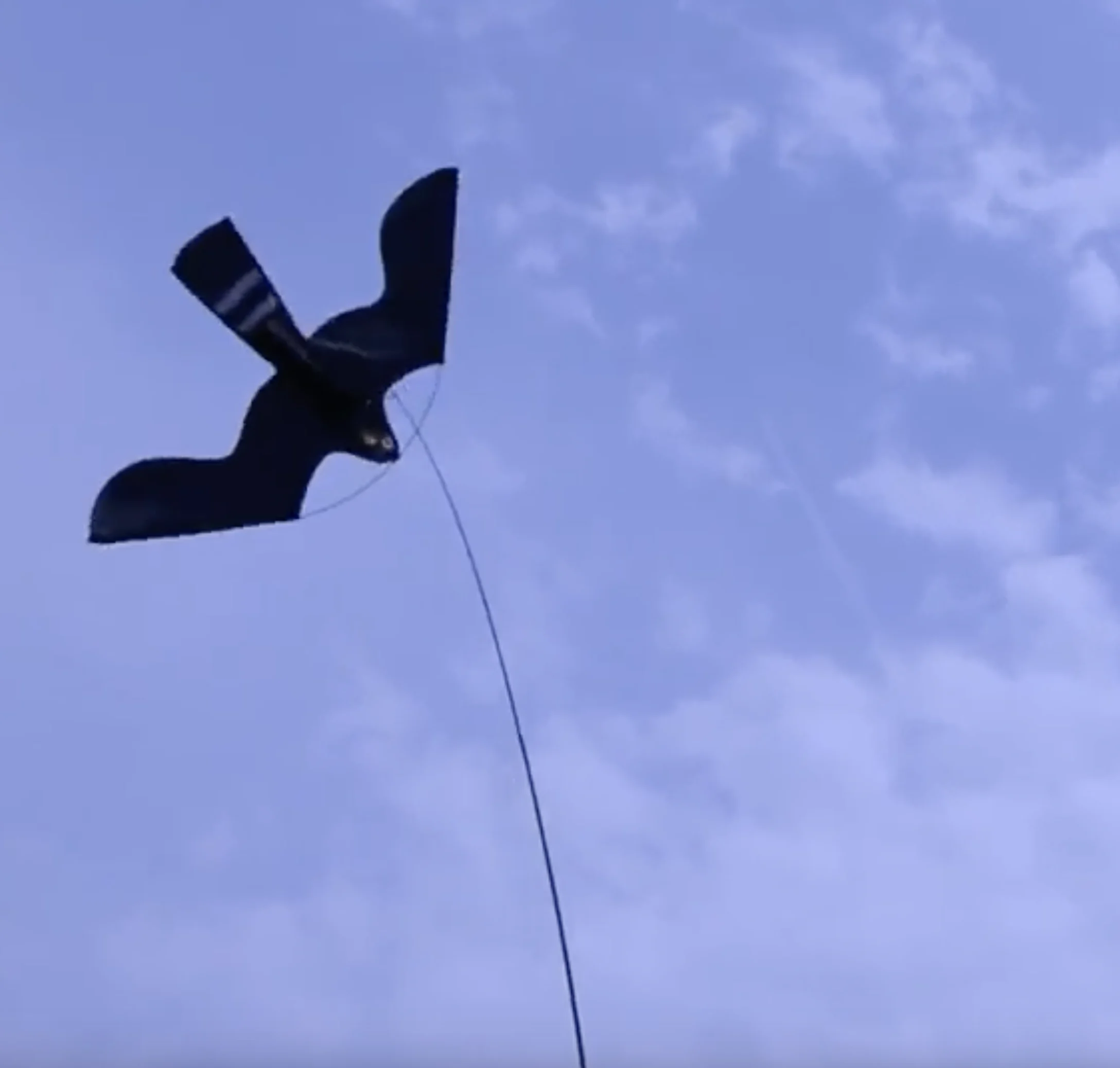 Set aquilone per allontanare gli uccelli con palo telescopico da 7 metri – Birdshield - immagine 2