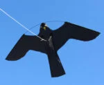 Set aquilone per allontanare gli uccelli con palo telescopico da 7 metri – Birdshield