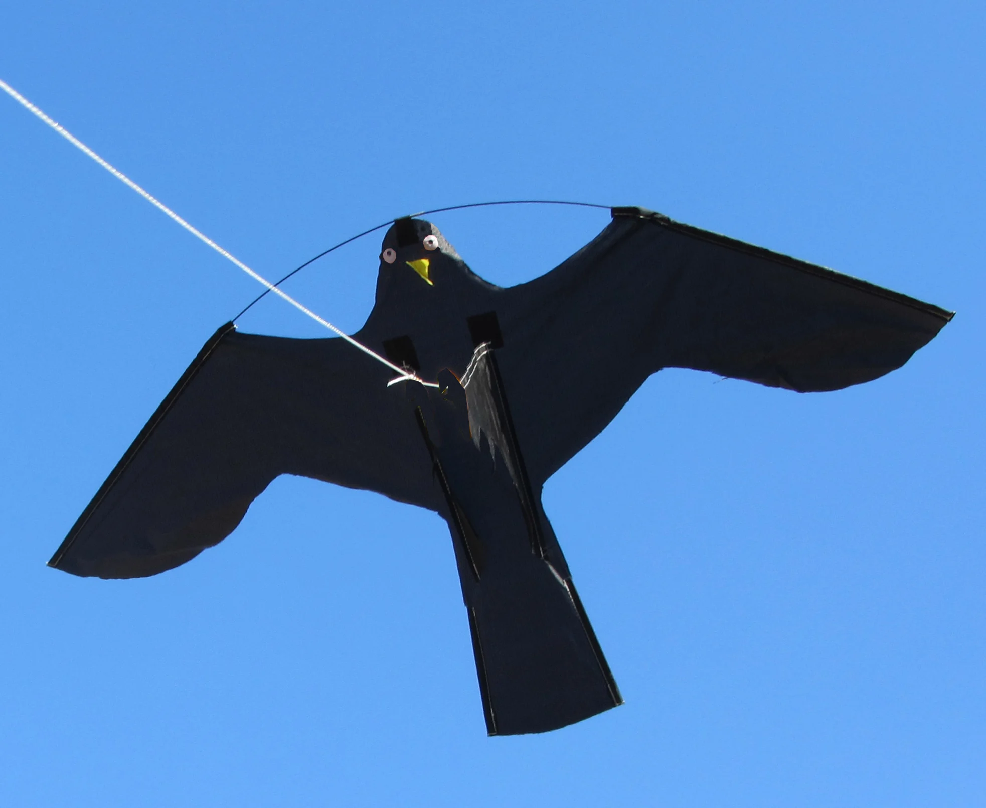 BIRD0072.jpg Set aquilone per allontanare gli uccelli con palo telescopico da 7 metri – Birdshield - immagine 1