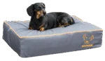 Cuccia per cani con superficie superiore impregnata e fondo antiscivolo, grigia, S 65 x 50 cm – Bodyguard Royal Bed