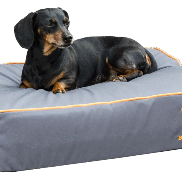 Cuccia per cani con superficie superiore impregnata e fondo antiscivolo, grigia, S 65 x 50 cm – Bodyguard Royal Bed