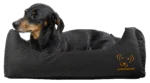 Cuccia per cani con parte superiore trattata e fondo antiscivolo, nera S 65 x 55 cm – Bodyguard Sofa Bed