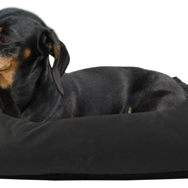 Cuccia per cani con parte superiore trattata e fondo antiscivolo, nera S 65 x 55 cm – Bodyguard Sofa Bed