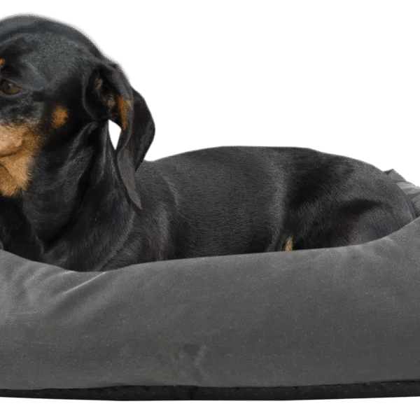 Cuccia per cani con superficie superiore trattata e base antiscivolo, grigia, S, 65 x 55 cm – Bodyguard Sofa Bed