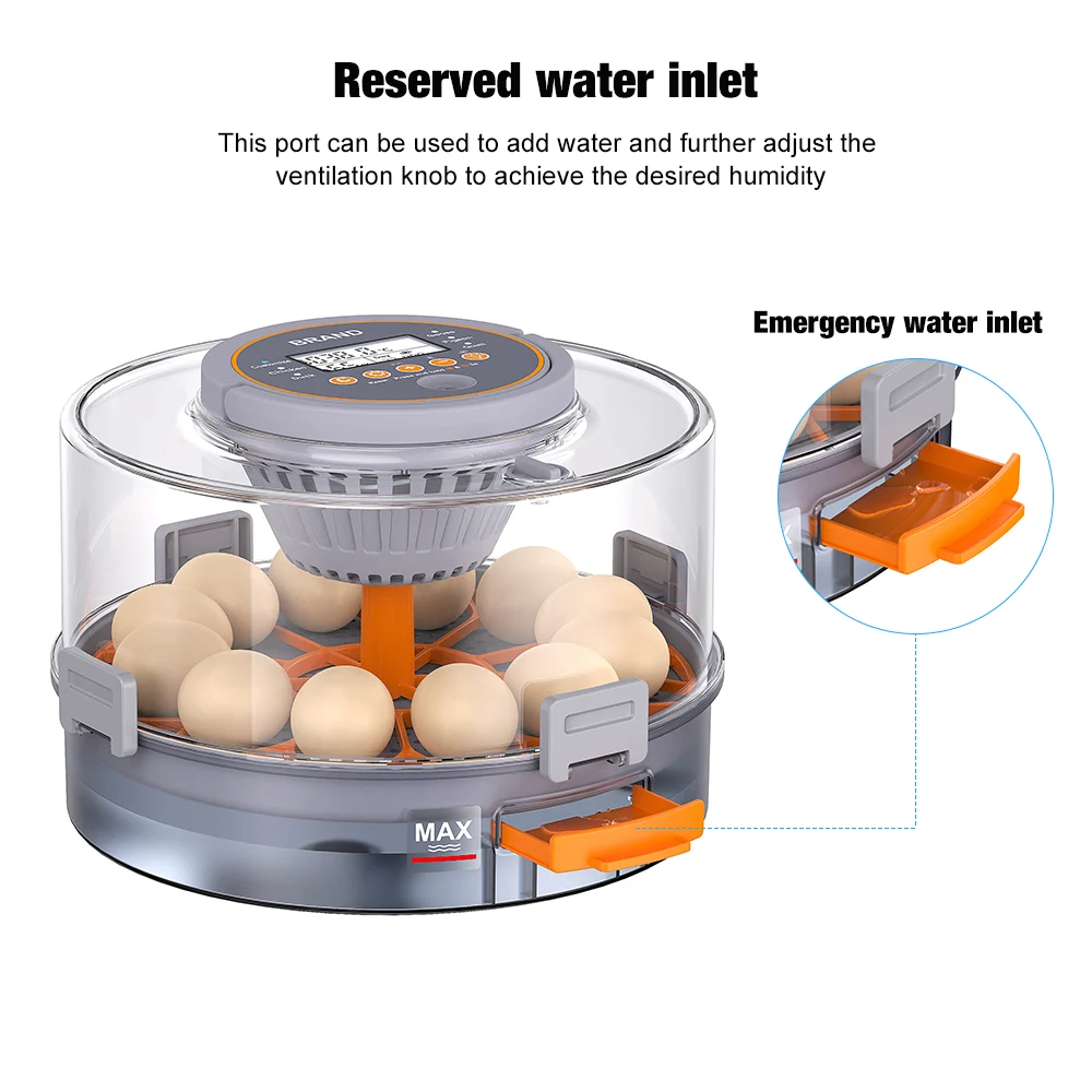 Incubatrice digitale per 12 uova con rotazione automatica – Hofman Animal Care - immagine 4