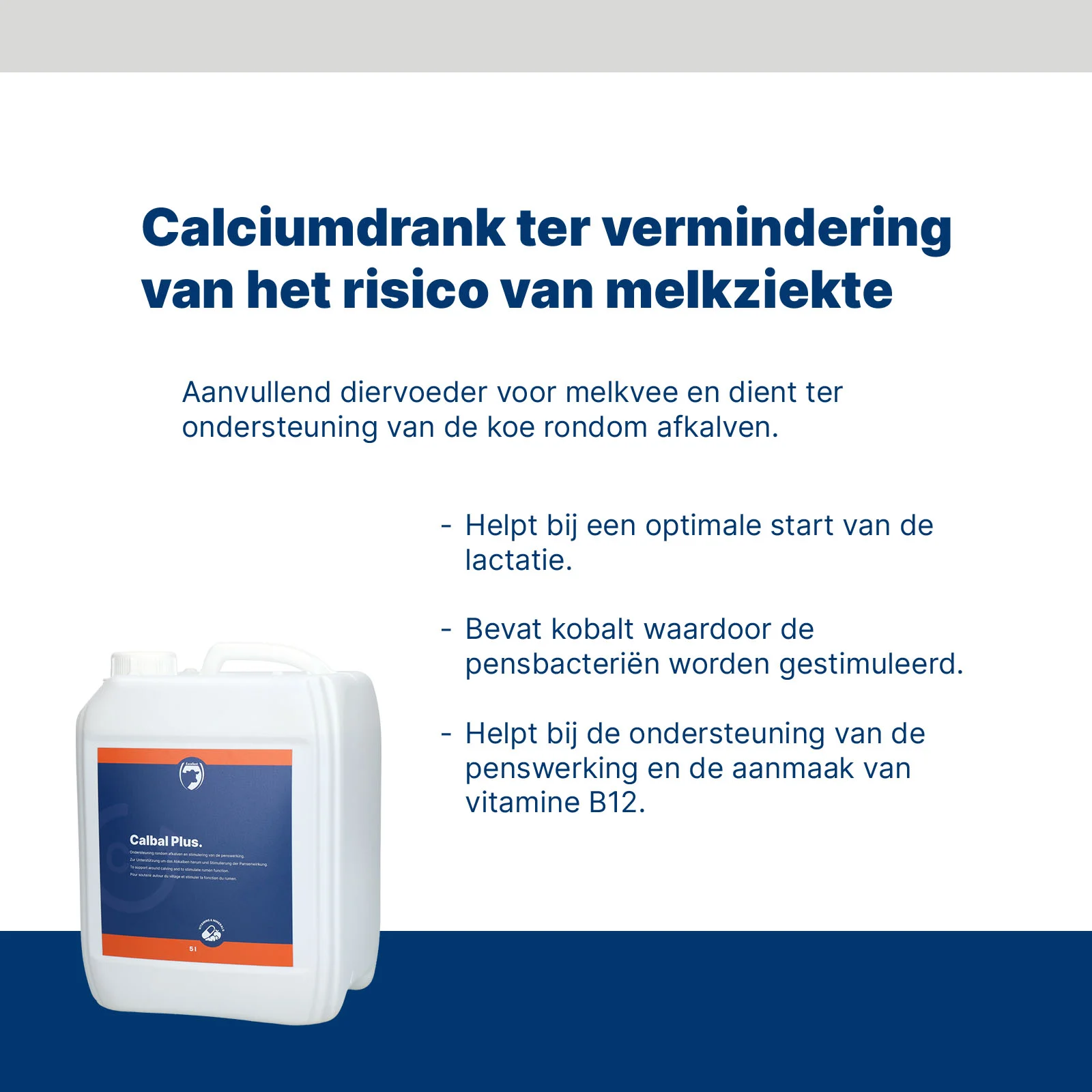 Bevanda di calcio per bovine da latte nel periodo del parto – Excellent Calbal Plus - immagine 3