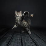 Gioco interattivo per gatti – Cat Dancer Deluxe - immagine 2