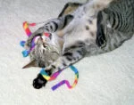 Gioco interattivo per gatti – Cat Dancer Cat Charmer - immagine 2